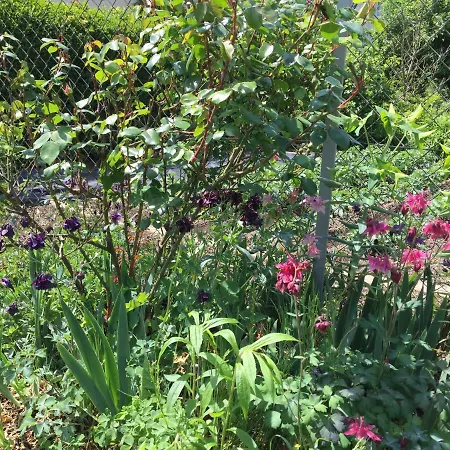 An Der Pferdsweide Apartment