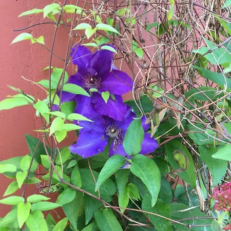 An Der Pferdsweide Trier