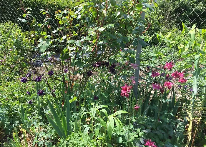 An Der Pferdsweide Apartment