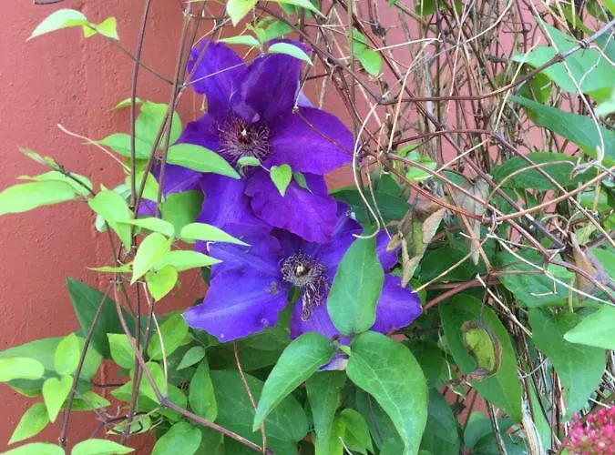 An Der Pferdsweide Trèves